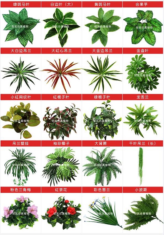 广州仿真植物墙 明筑带你领略仿真植物墙的魅力（图）_2