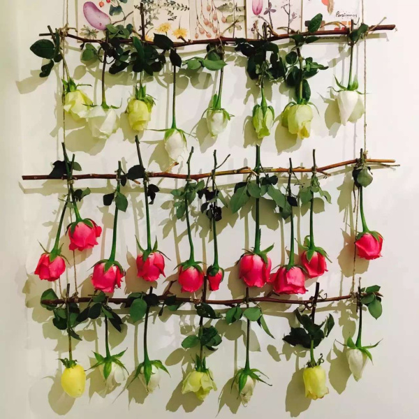 墨飾居創(chuàng)意花店告訴你玫瑰的種類（圖）_1