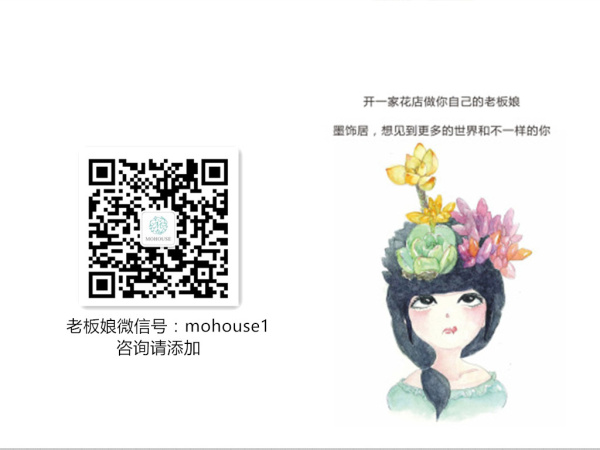 墨飾居創(chuàng)意花店告訴你玫瑰的種類（圖）_4