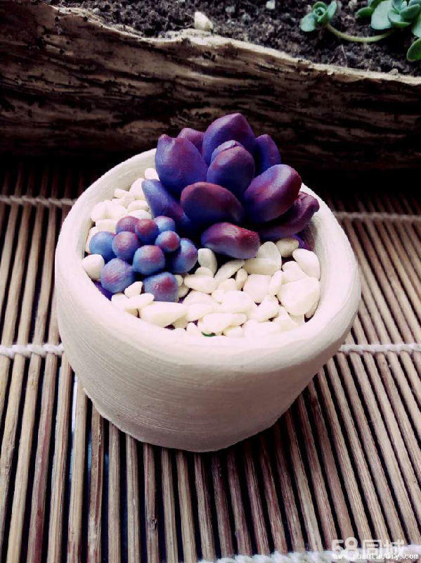 【大學(xué)生創(chuàng)業(yè)陶指藝加盟店】趣味兒童陶藝加盟好項目_4