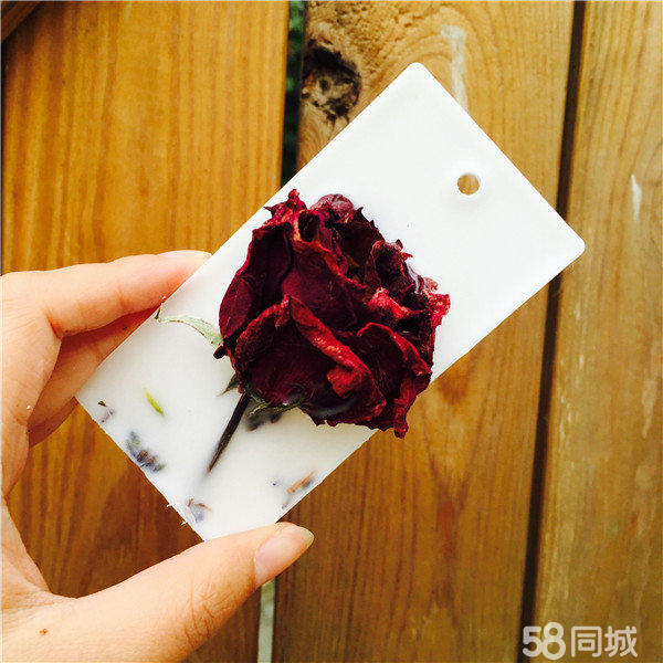 【創(chuàng)意植物制作加盟店】墨飾居開(kāi)創(chuàng)植物美學(xué)新概念_2