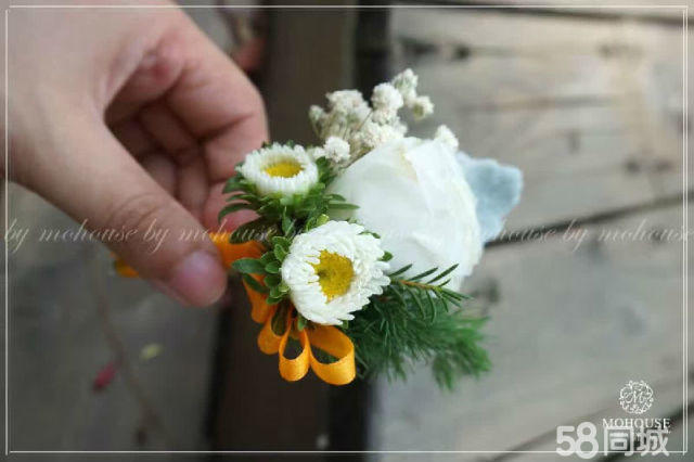 【創(chuàng)意植物制作加盟店】墨飾居開(kāi)創(chuàng)植物美學(xué)新概念_3