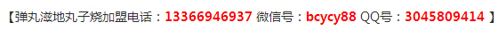 廣東彈丸滋地章魚燒加盟費【加盟利潤分析】（圖）_1