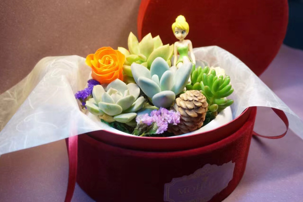 墨飾居創(chuàng)意花店給你的生活帶來無限驚喜（圖）_2