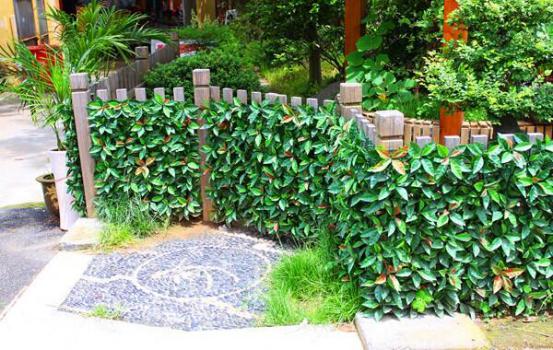 江蘇仿真植物生產(chǎn)廠家（圖）_1