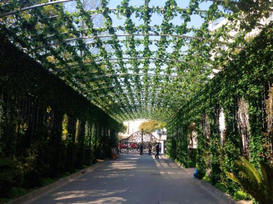 江蘇仿真草坪廠家_4