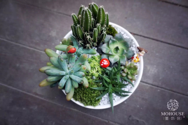 不敢創(chuàng)業(yè)，可能是缺少這些（圖）_3