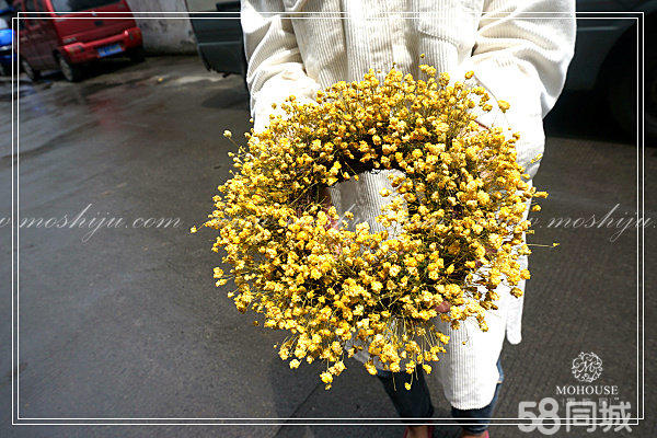 【80后90后創(chuàng)業(yè)小成本花藝項目】墨飾居花藝加盟店（圖）_2