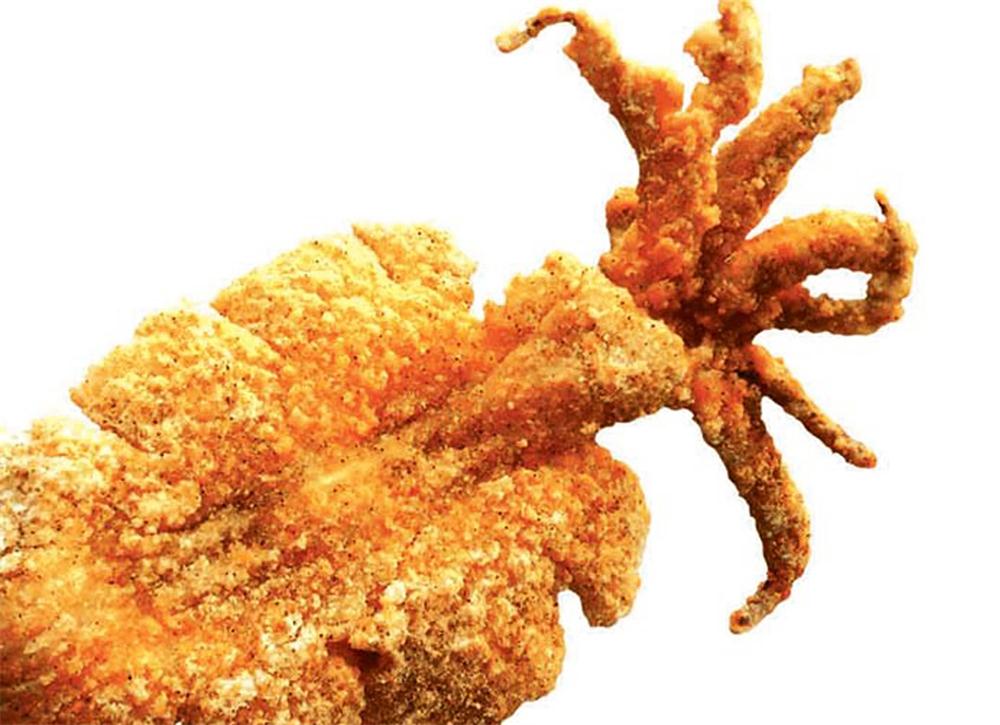 轟炸大魷魚長(zhǎng)沙哪里有學(xué)（圖）_5