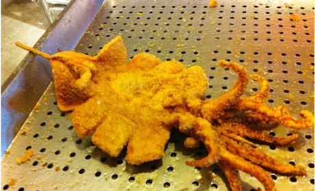 轟炸大魷魚長(zhǎng)沙哪里有學(xué)（圖）_8