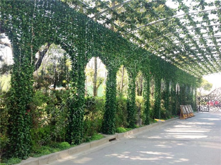 上海仿真植物墻推薦 明筑為何走紅市場？_2