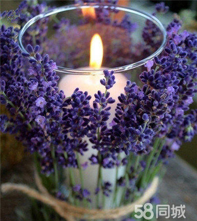 【大學(xué)生創(chuàng)業(yè)DIY蠟燭加盟項目】創(chuàng)意特色蠟燭加盟店_8