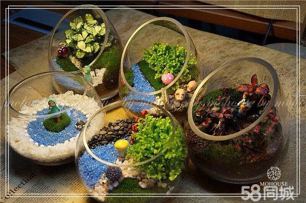 【創(chuàng)意美麗的花藝加盟項目】墨飾居植物花藝加盟店_5