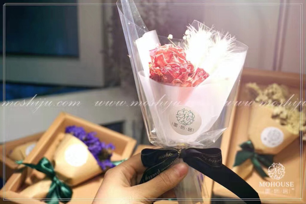 DIY植物項(xiàng)目加盟－墨飾居創(chuàng)意花店（圖）_2