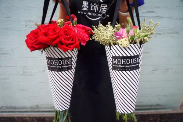 DIY植物項(xiàng)目加盟－墨飾居創(chuàng)意花店（圖）_3