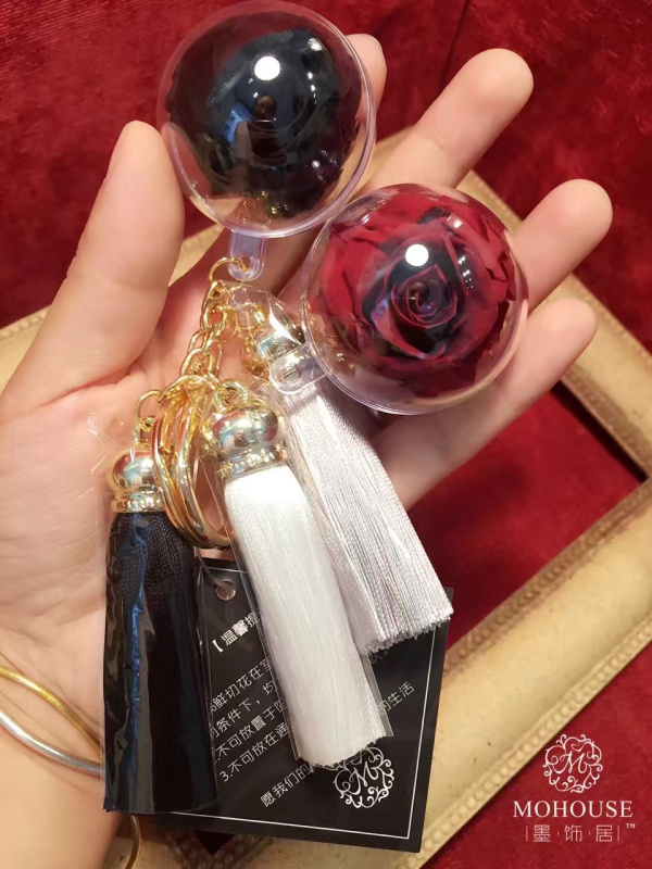 墨飾居創(chuàng)意花店孕育新財富（圖）_3