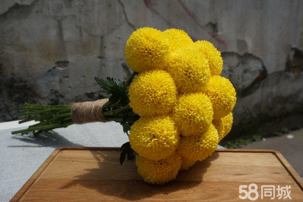 【新型創(chuàng)意花藝全國連鎖加盟店】墨飾居花藝加盟好項(xiàng)目_2