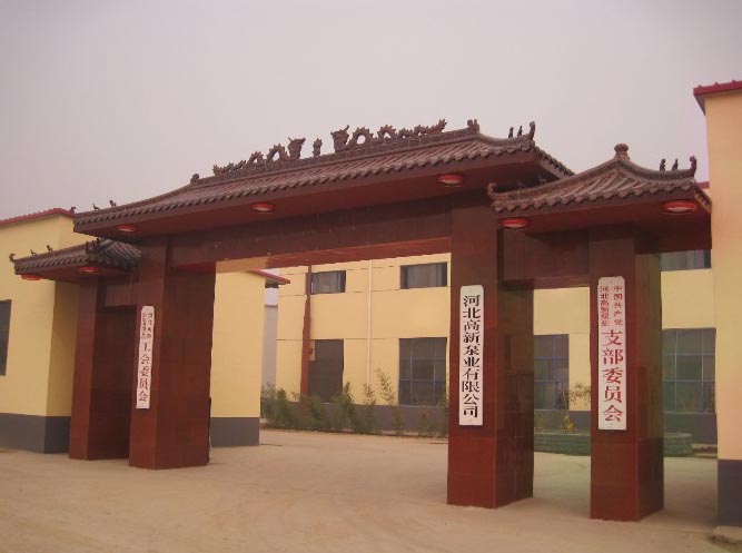 河北G型砂礫泵.渣漿泵.渣漿泵串聯(lián)應(yīng)用注意事項（圖）_1