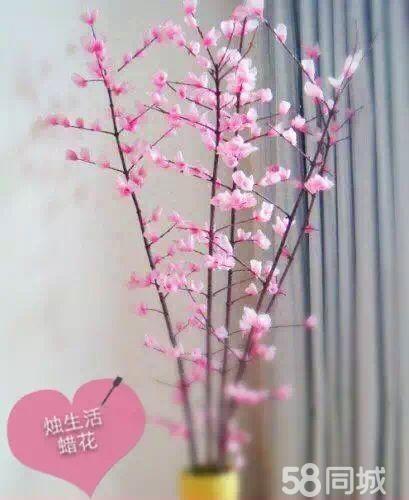 【燭生活特色創(chuàng)意蠟燭連鎖加盟店】小本創(chuàng)業(yè)好項目_7