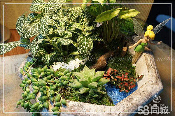 【90后創(chuàng)業(yè)花藝DIY加盟店】小本創(chuàng)業(yè)墨飾居好項目_3