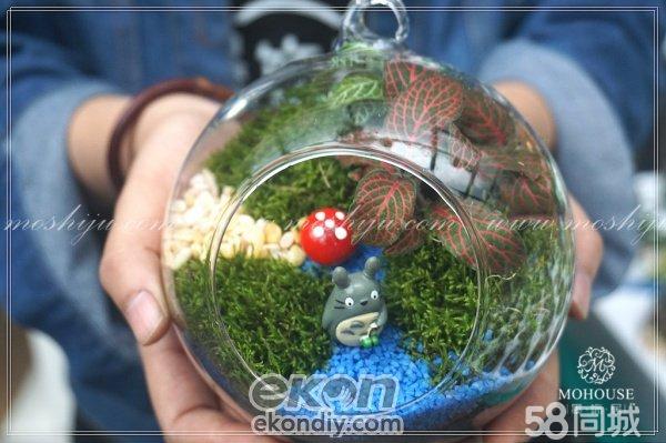 【90后創(chuàng)業(yè)花藝DIY加盟店】小本創(chuàng)業(yè)墨飾居好項目_6