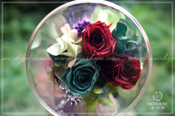 墨飾居創(chuàng)意花店告訴你玫瑰的種類（圖）_3