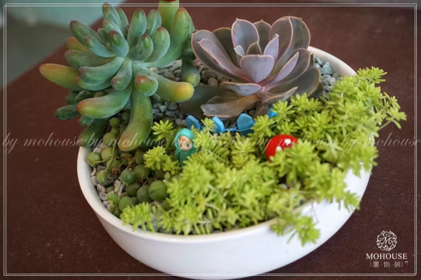 墨飾居創(chuàng)意加盟店擁有獨門絕技（圖）_1