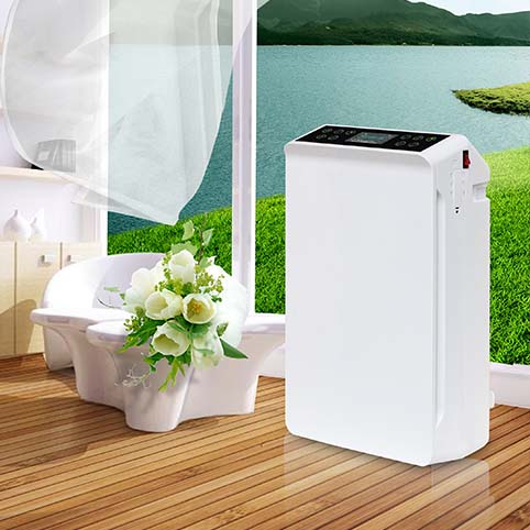 斯特亨空氣凈化器為您的健康保駕護航（圖）_1