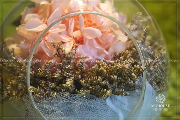 墨飾居創(chuàng)意花店孕育新財(cái)富（圖）_1