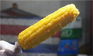 湖南哪里可以學(xué)脆皮玉米 （圖）_3