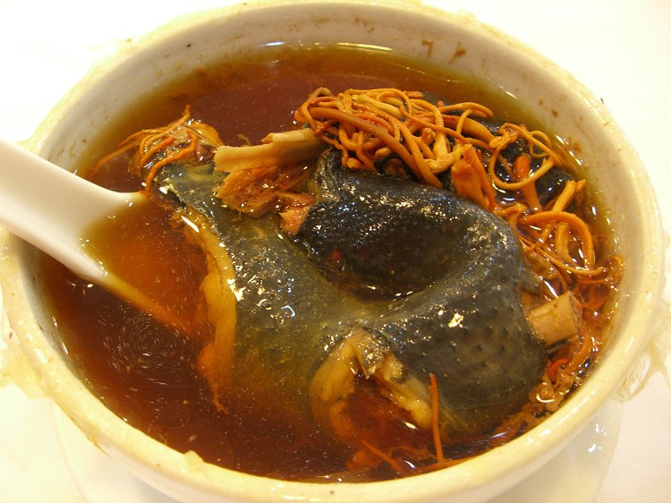 哪里才能學到真正的營養(yǎng)燉品技術(shù)，廣州燉品培訓班（圖）_1