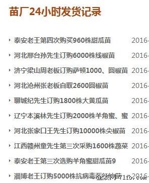 淮安黃瓜苗育苗廠 西紅柿苗廠家出售（圖）_2