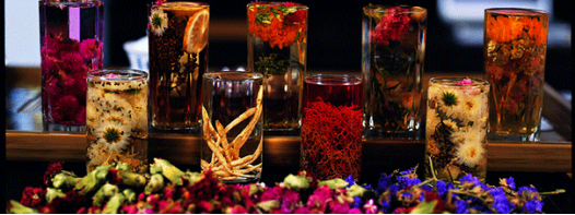 蜜逗教您春天應(yīng)該喝什么茶好(圖)_1