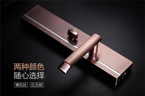 上海世博會唯一智能鎖技術(shù)供應(yīng)商，德施曼傳承德國匠心精神_1