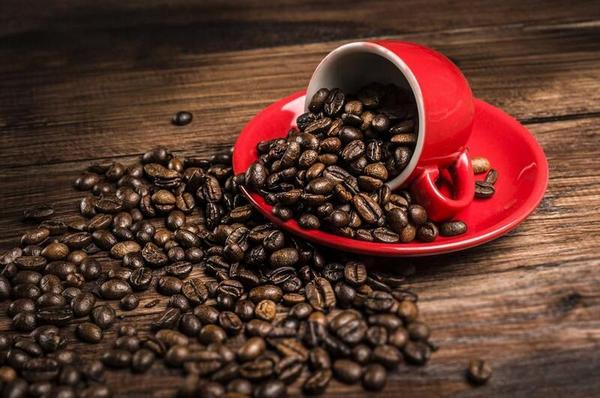 AA國(guó)際動(dòng)漫：開(kāi)動(dòng)漫咖啡店必備的咖啡冷知識(shí)_3