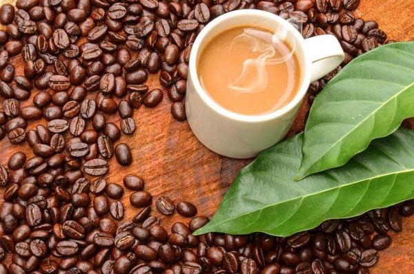 AA國(guó)際動(dòng)漫：開(kāi)動(dòng)漫咖啡店必備的咖啡冷知識(shí)_5