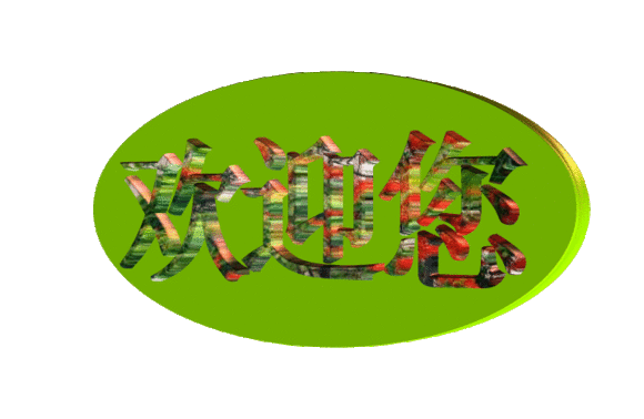 哪里可以學(xué)做手抓餅，哪里有手抓餅學(xué)（圖）_1