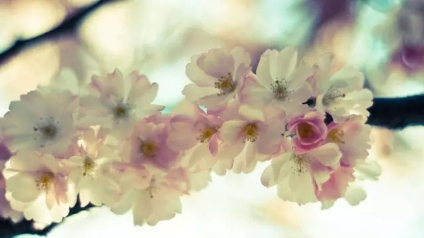 年都過完了，還不裝修？你等什么呢？?。▓D）_1