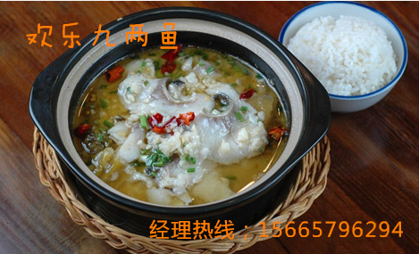 2017年加盟九兩魚品牌把握新商機(jī)_1