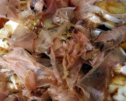 永州哪里有章魚小丸子培訓(xùn) （圖）_7