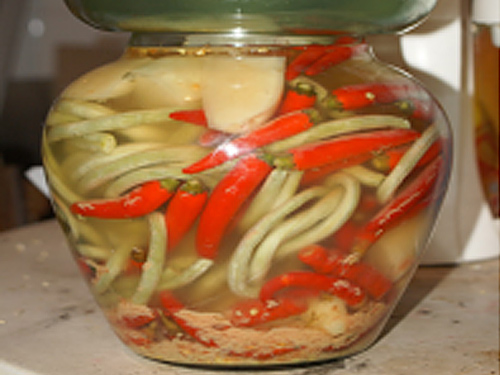 正宗湘西泡菜培訓(xùn)（圖）_2