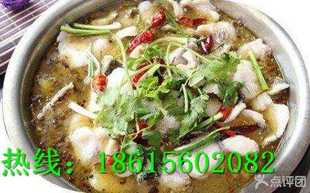 貓貝兒斑魚(yú)火鍋加盟費(fèi)多少（圖）_1