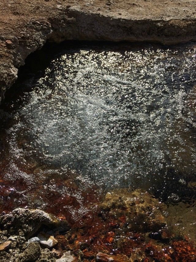 大量供應健康飲品蘇約克蘇打水（圖）_2