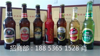枸杞啤酒招商18853651528（图）_2