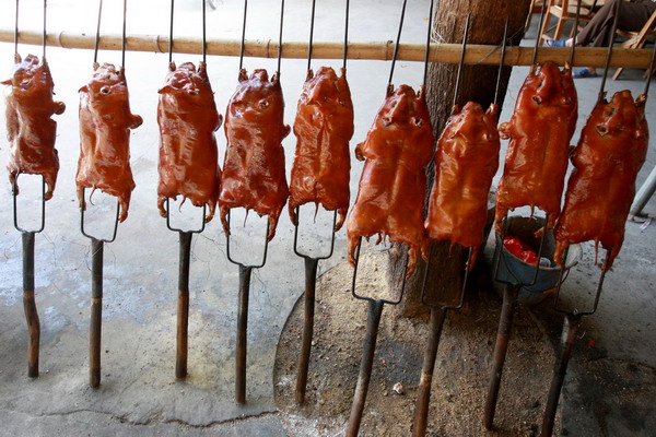 廣州哪里有學做烤乳豬培訓的學校，烤乳豬技術(shù)培訓班（圖）_1