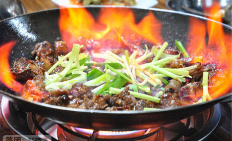 廣州什么地方有火焰醉鵝學(xué)習(xí)（圖）_1