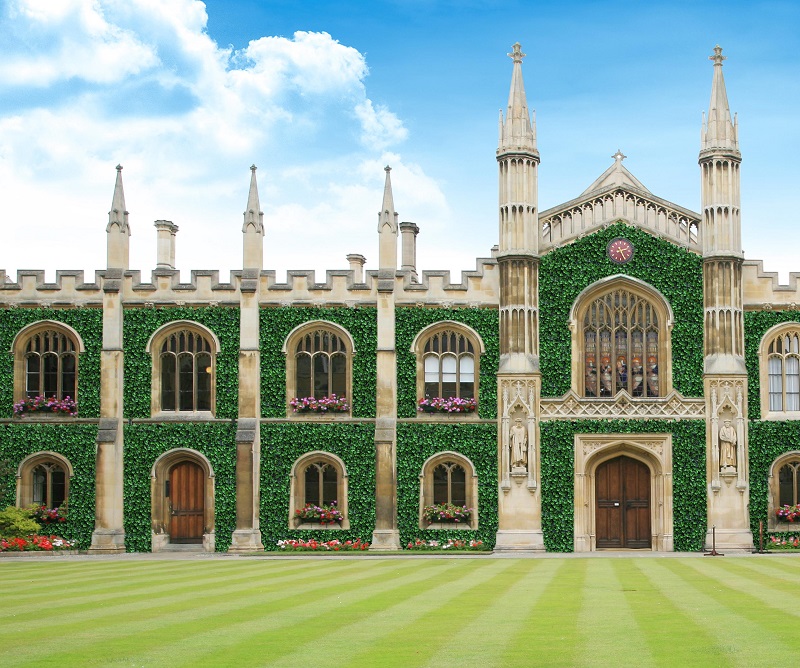 山東仿真植物墻 明筑打造環(huán)保綠色產(chǎn)品（圖）_3