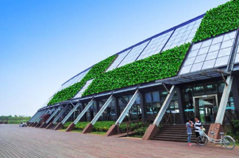 河南仿真植物墻公司（圖）_2