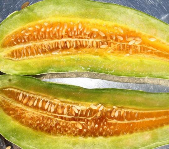 呂梁脆皮甜瓜苗出售價格 18953618755（圖）_2