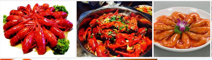 正宗油燜大蝦培訓（圖）_1